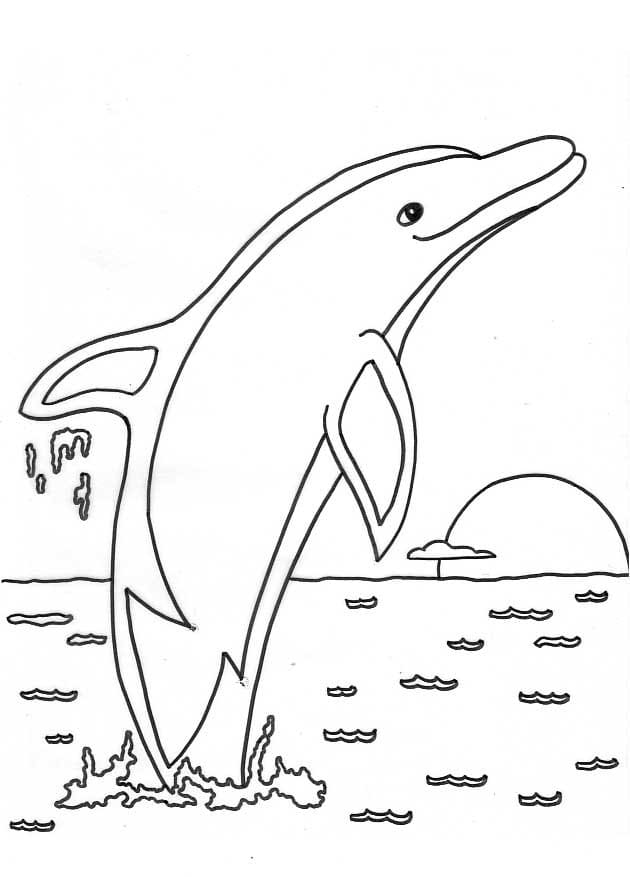 Easy Dolphin Coloring Page - Free Printable Coloring Pages for Kids
