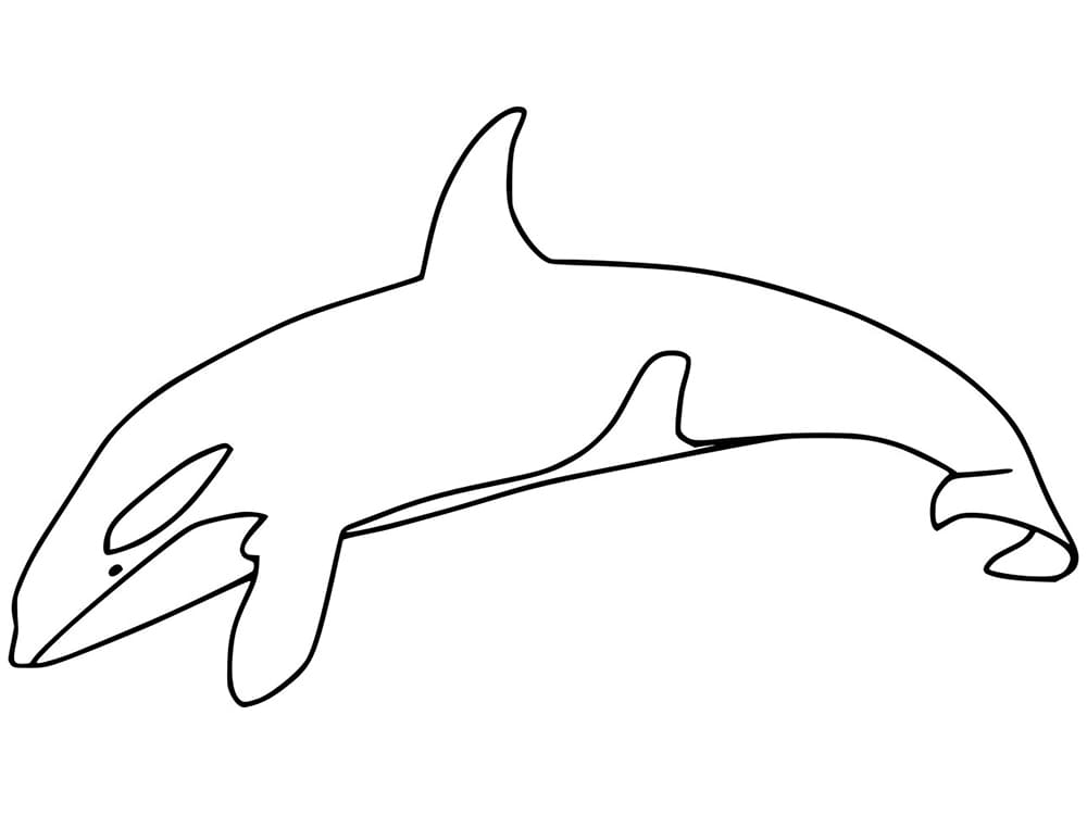 happy-killer-whale-coloring-page-free-printable-coloring-pages-for-kids