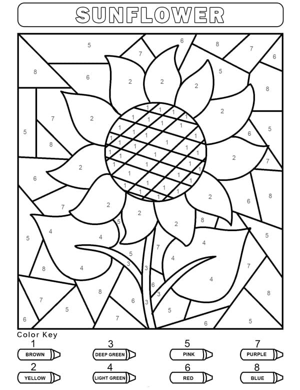flower color by number printables