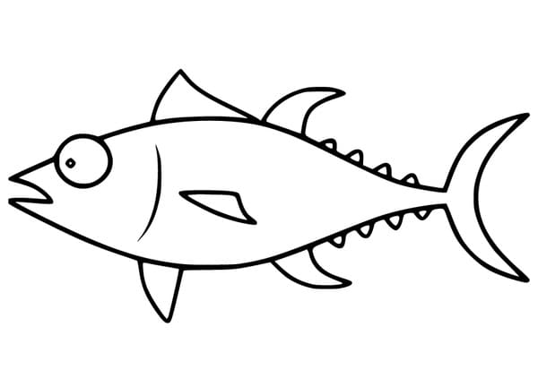 Easy Tuna Fish