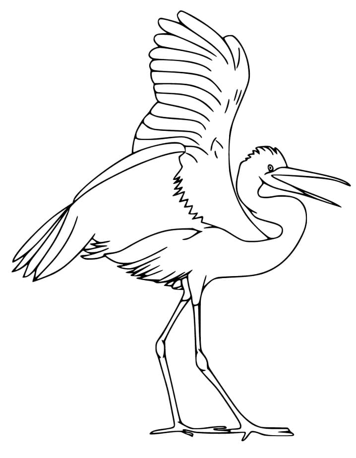 Egret Walking Coloring Page - Free Printable Coloring Pages for Kids
