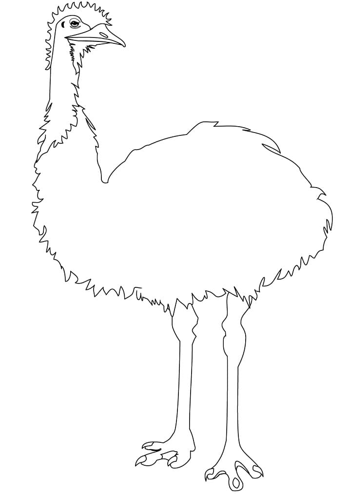 Emu Printable