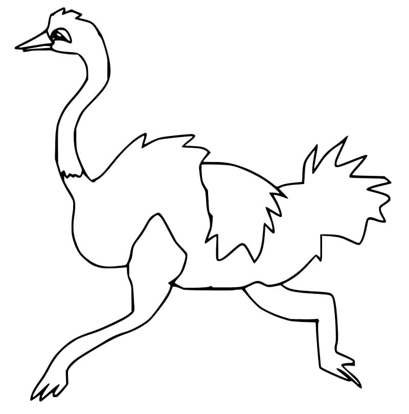 Emu is Running