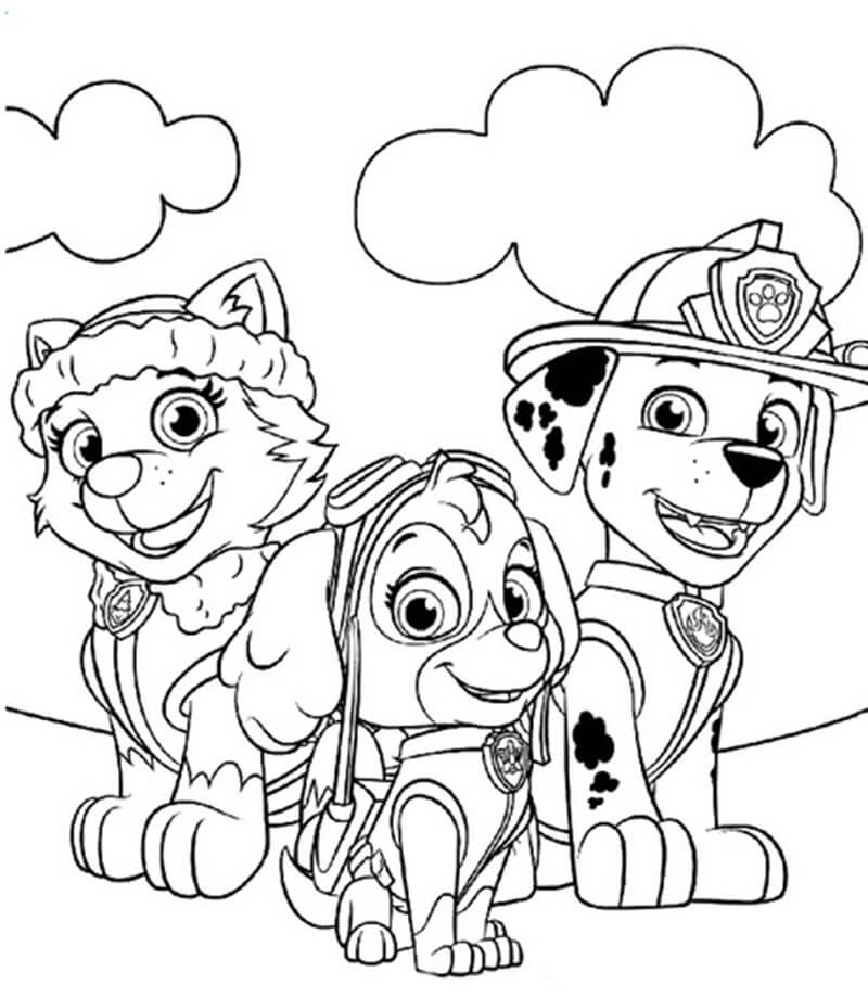 Everest, Skye and Marshall in Paw Patrol