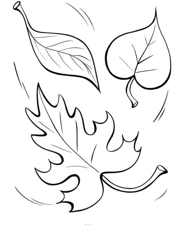 Fall Leaves 11 Coloring Page Free Printable Coloring Pages for Kids