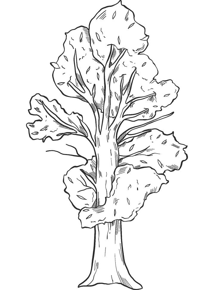 Fall Coloring Pages Free Printable Coloring Pages For Kids