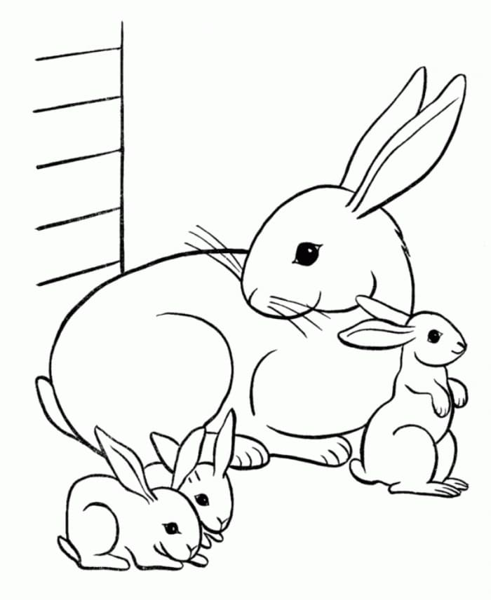 Family Rabbits