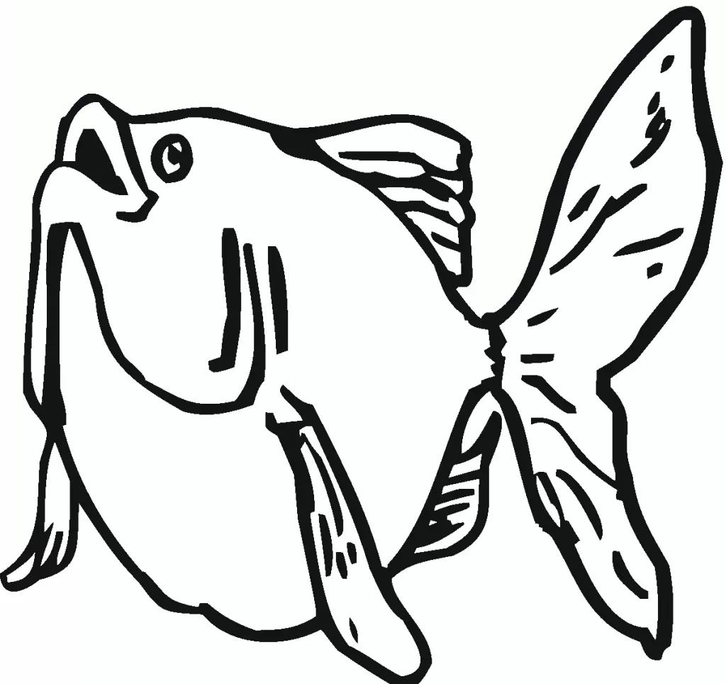 Fat Goldfish