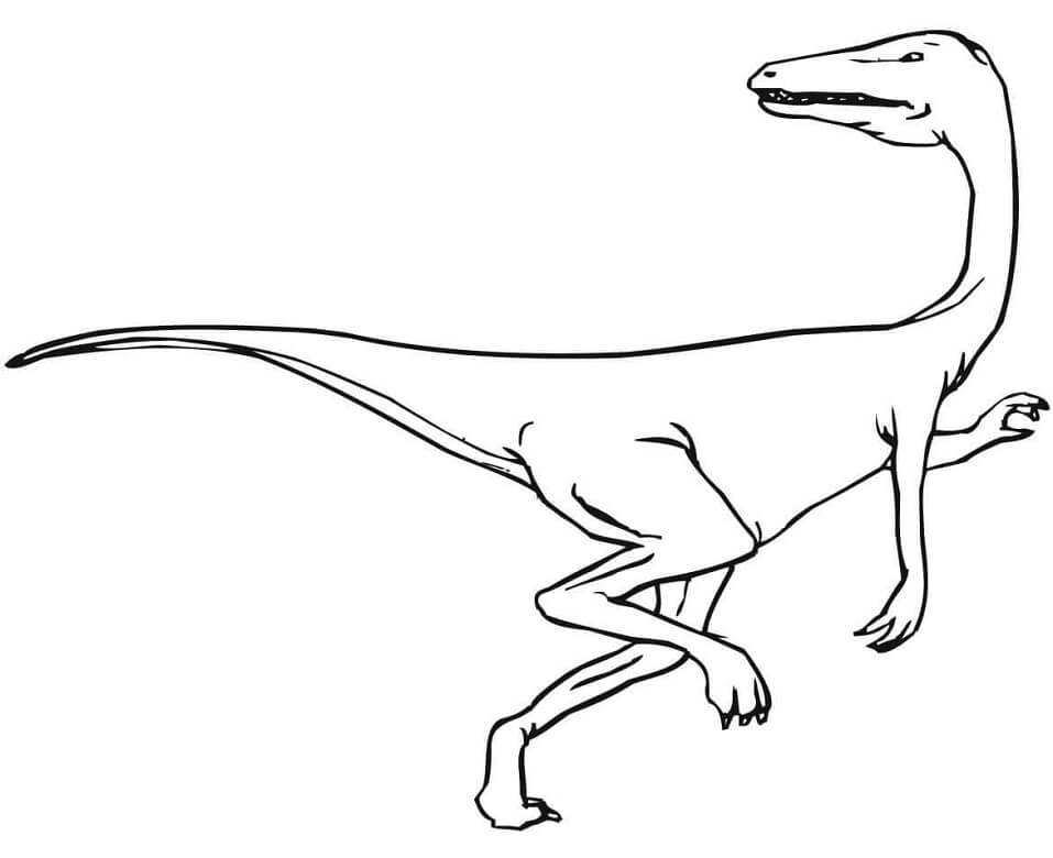 Featherless Velociraptor