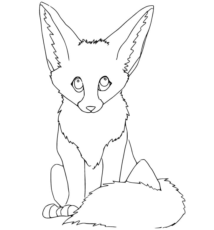 Fennec Fox Looks Cute Coloring Page - Free Printable Coloring Pages for
