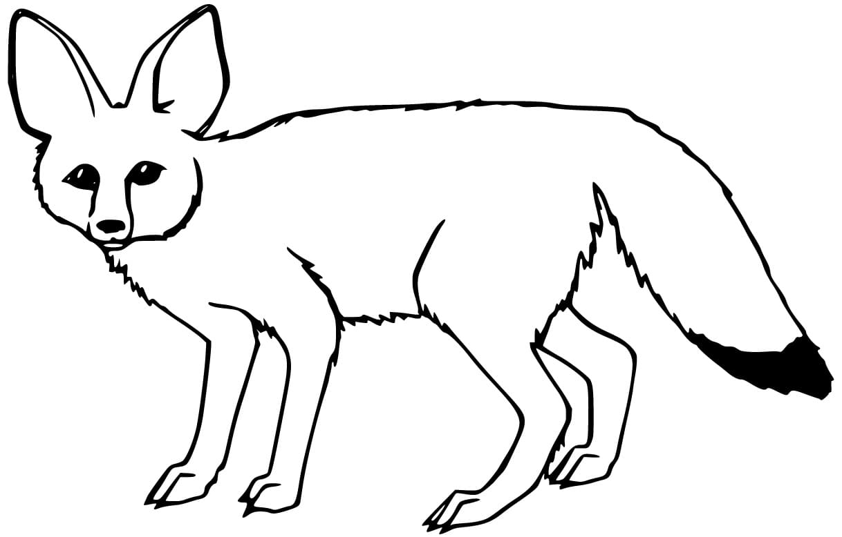 Fennec Fox Looks Cute Coloring Page - Free Printable Coloring Pages for