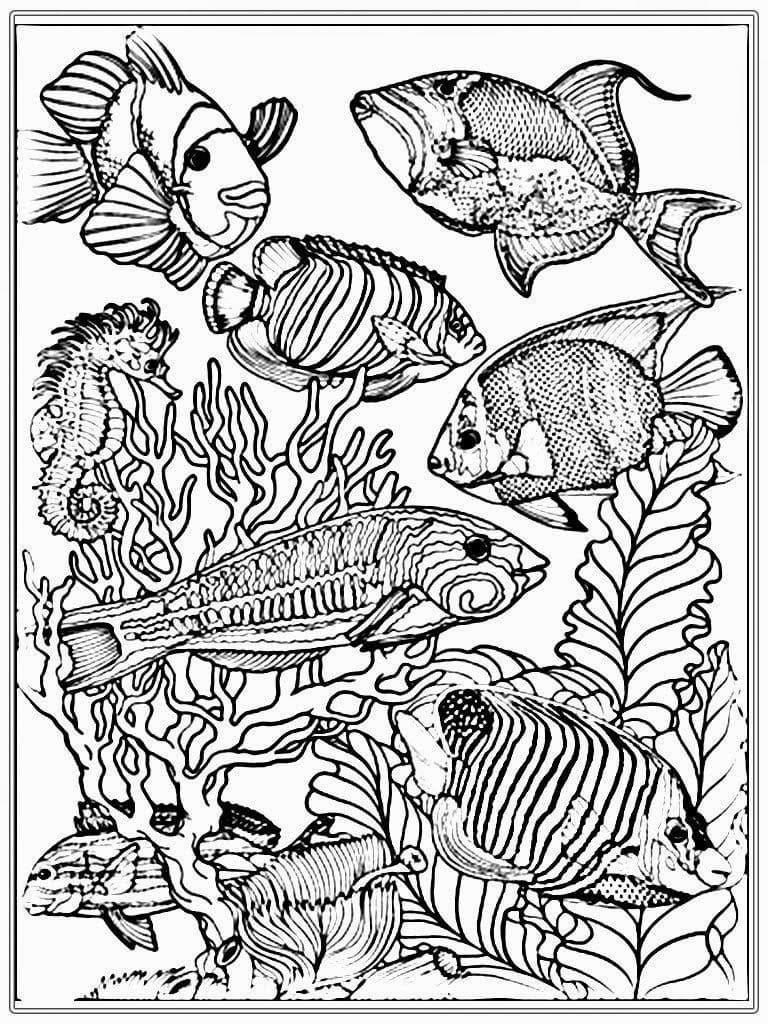empty-fish-bowl-coloring-page-empty-fish-bowl-coloring-page-fish-my