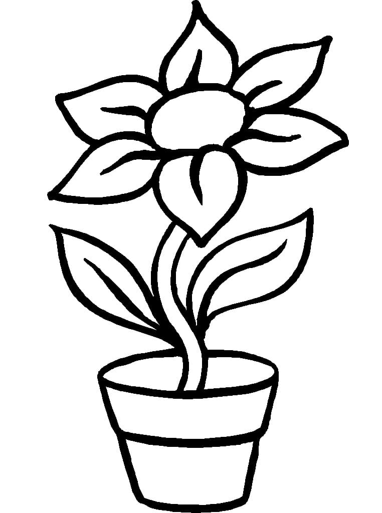 Daisy Flower Pot Coloring Page - Free Printable Coloring Pages for Kids