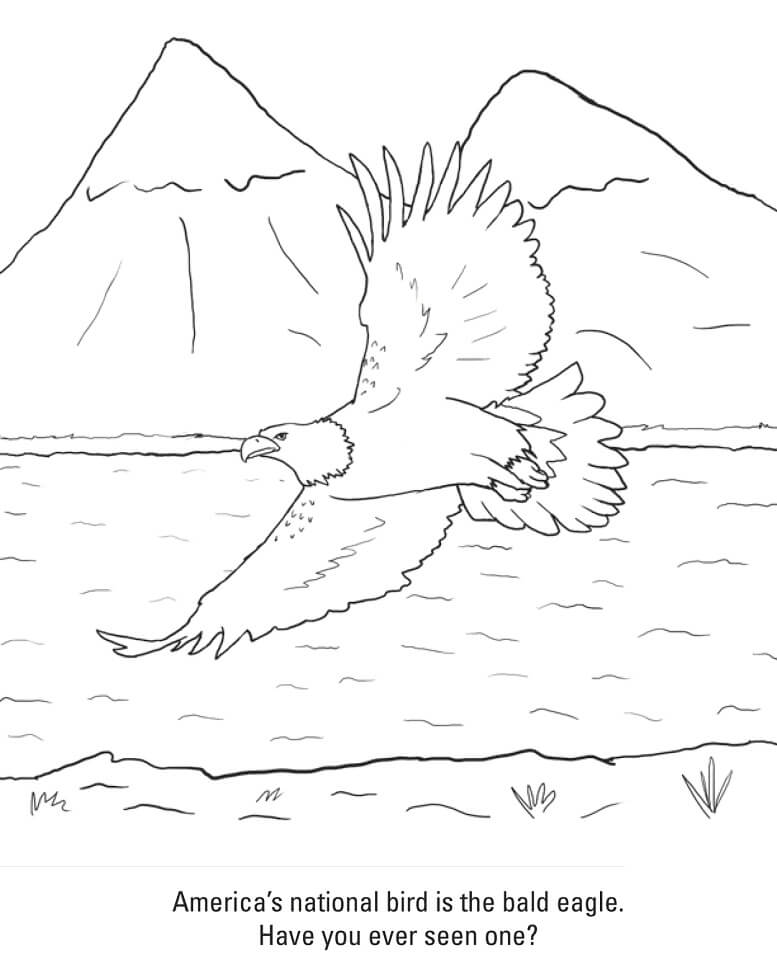 Get Coloring Page Bald Eagle PNG