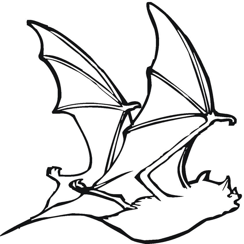 Flying Bat Coloring Page Free Printable Coloring Pages For Kids
