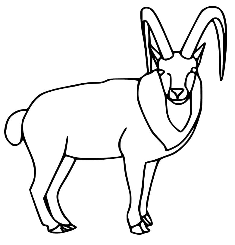 Free Alpine Ibex Coloring Page - Free Printable Coloring Pages for Kids