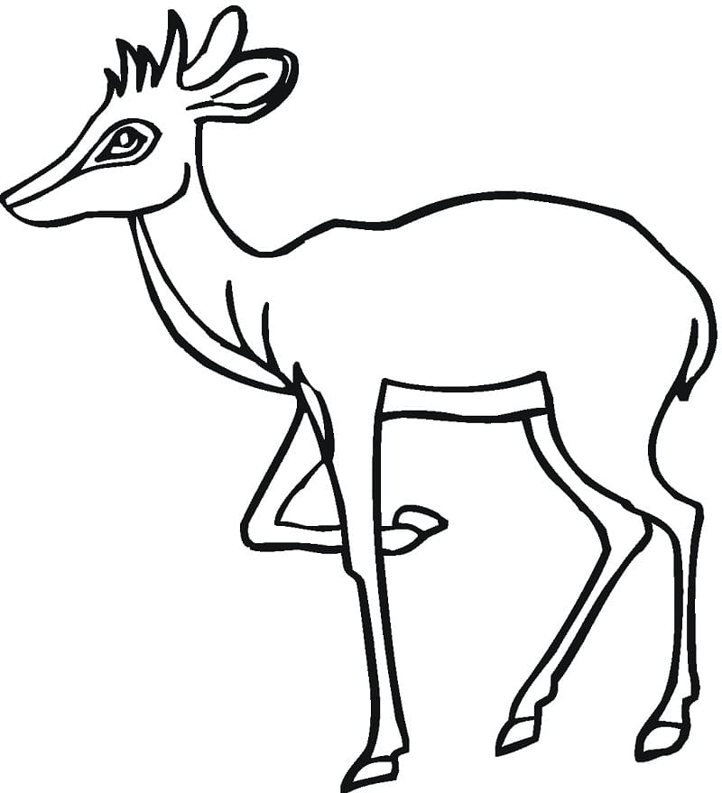 Free Antelope Coloring Page - Free Printable Coloring Pages for Kids