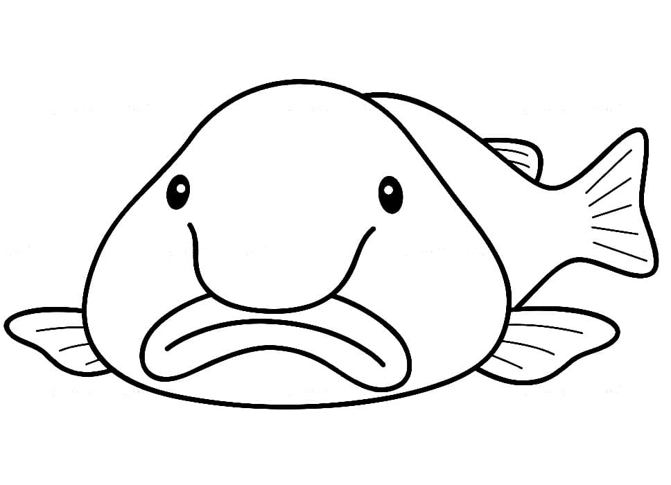 Free Blobfish