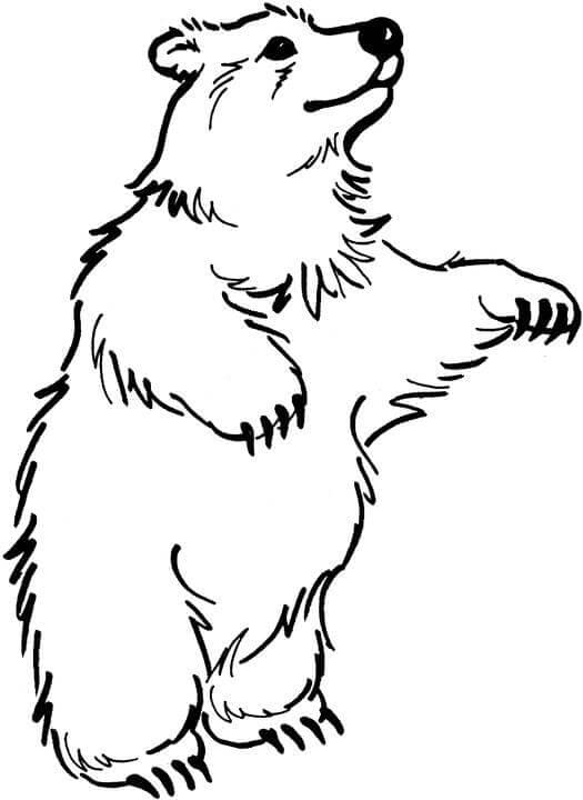 brown-bear-coloring-pages-free-printable-coloring-pages-for-kids