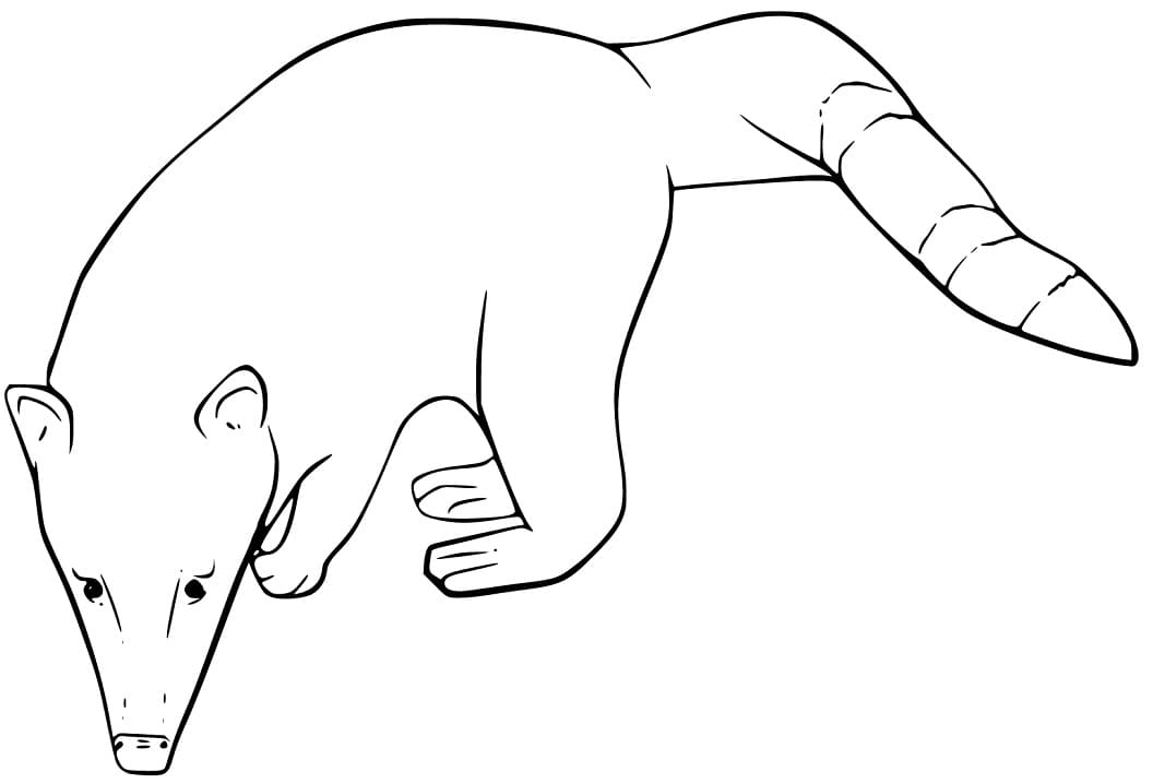 Free Coati Coloring Page - Free Printable Coloring Pages for Kids
