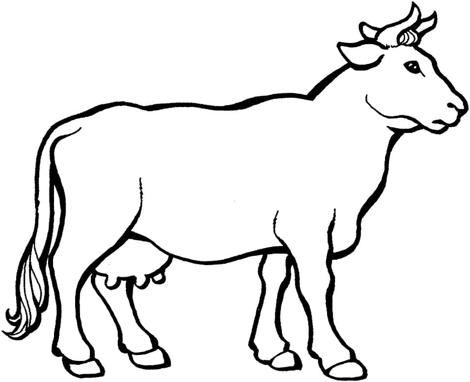 Cow 7 Coloring Page - Free Printable Coloring Pages for Kids