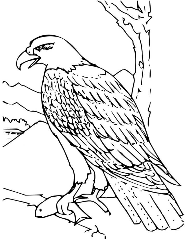 Eagle Coloring Pages - Free Printable Coloring Pages for Kids