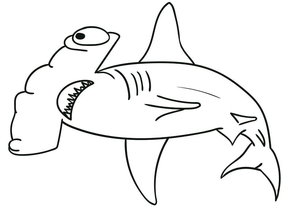 Free Hammerhead Shark