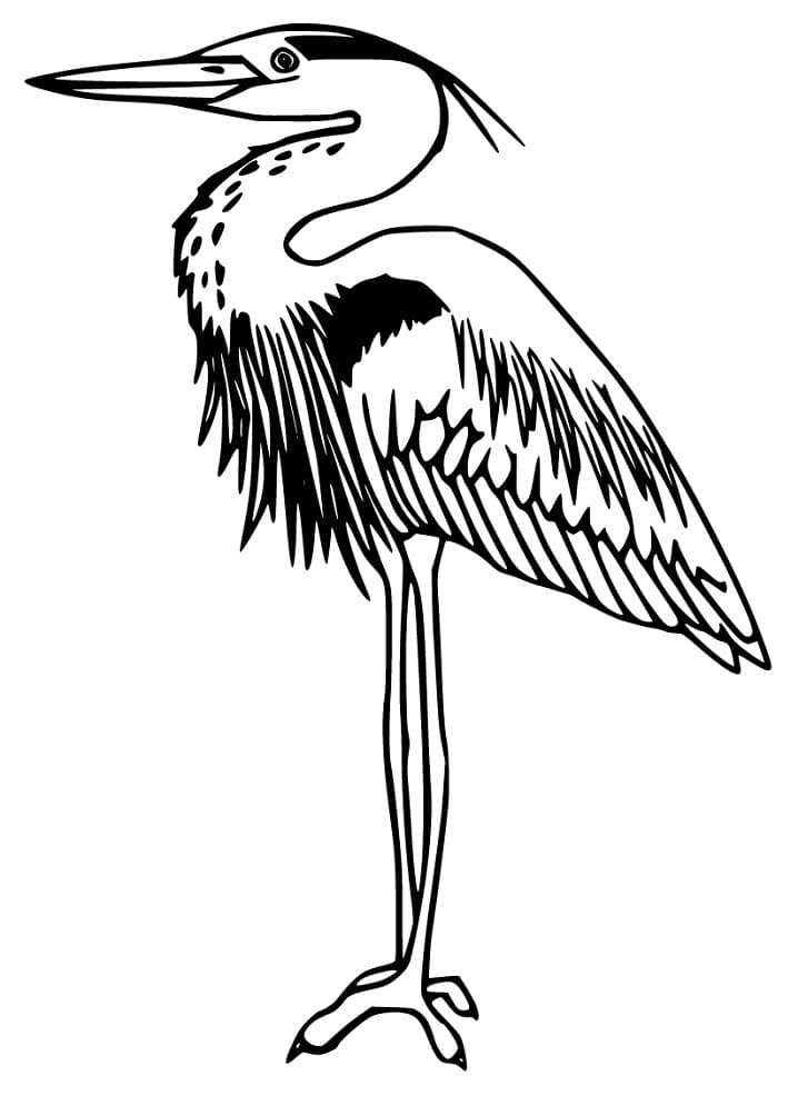 Heron Coloring Pages - Free Printable Coloring Pages for Kids