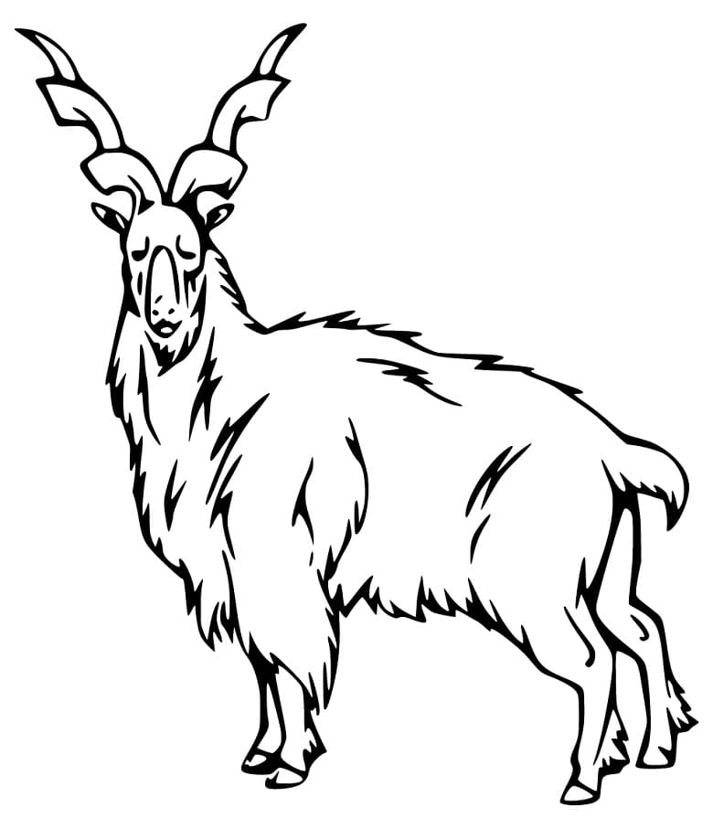 Markhor Coloring Pages - Free Printable Coloring Pages for Kids