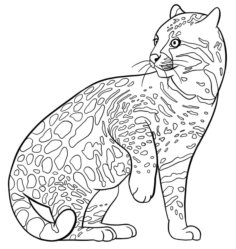 Ocelot in the Forest Coloring Page - Free Printable Coloring Pages for Kids