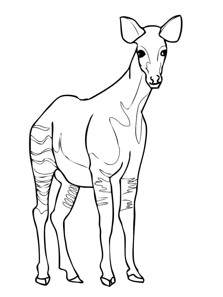 okapi coloring pages