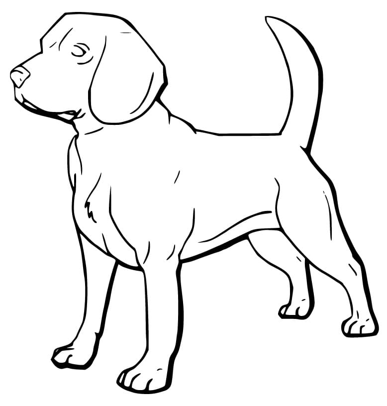 Free Printable Beagle Dog