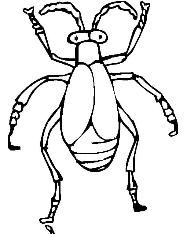Free Printable Beetle