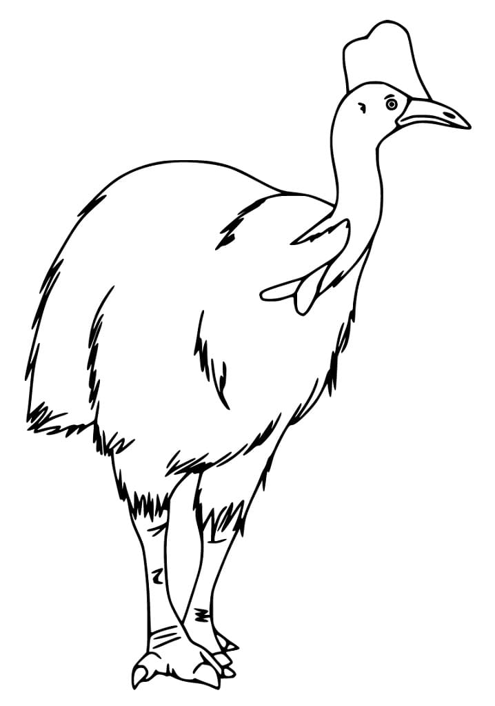 Easy Cassowary Coloring Page - Free Printable Coloring Pages for Kids