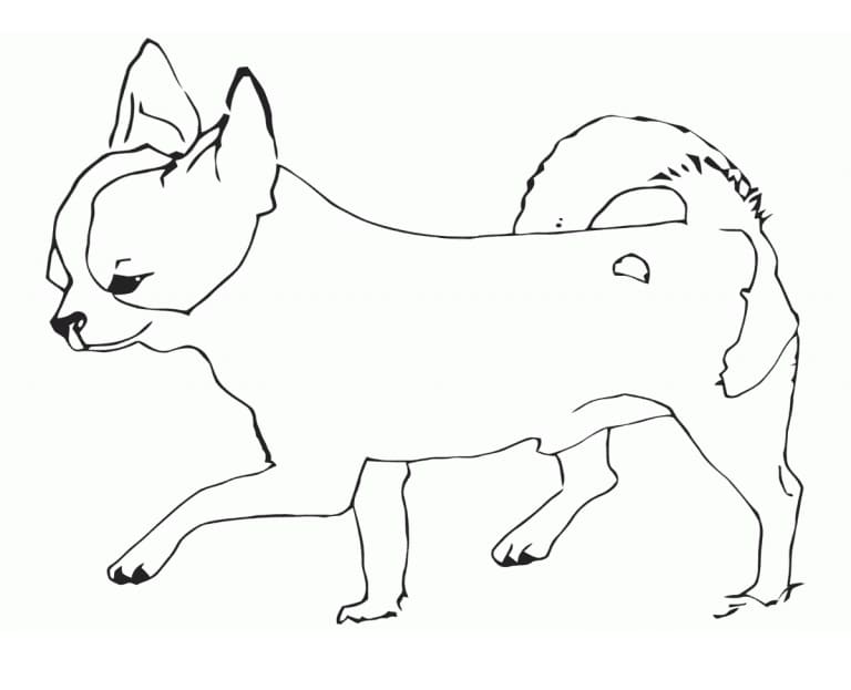 Chihuahua is Smiling Coloring Page - Free Printable Coloring Pages for Kids