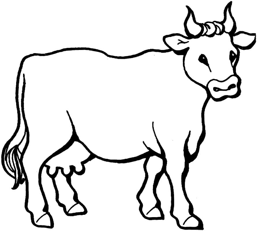free printable cow coloring page free printable coloring pages for kids