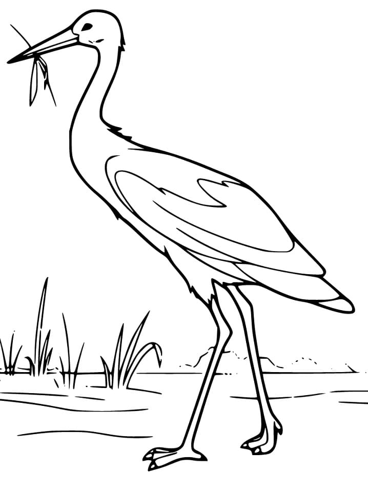 Free Printable Heron Coloring Page - Free Printable Coloring Pages for Kids