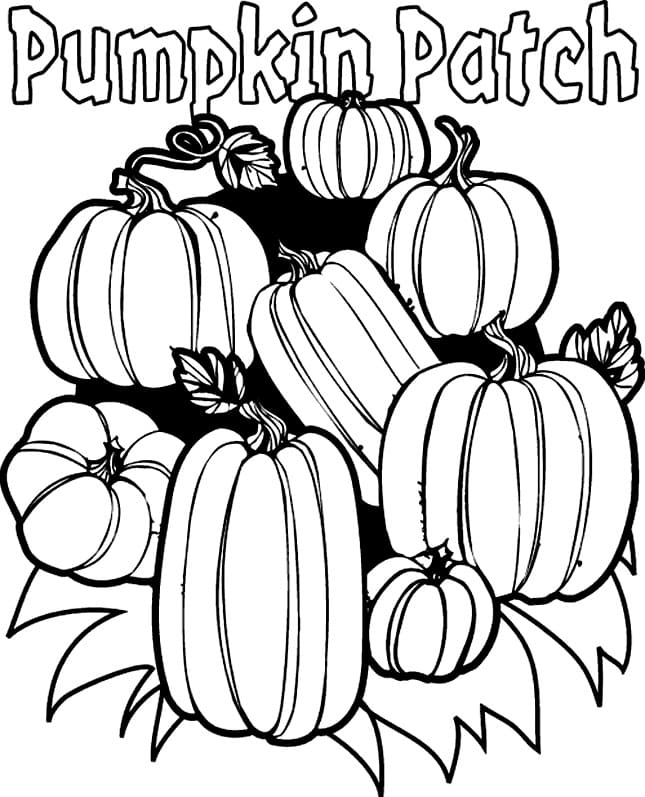 Pumpkin Patch Coloring Pages Free Printable Coloring Pages For Kids