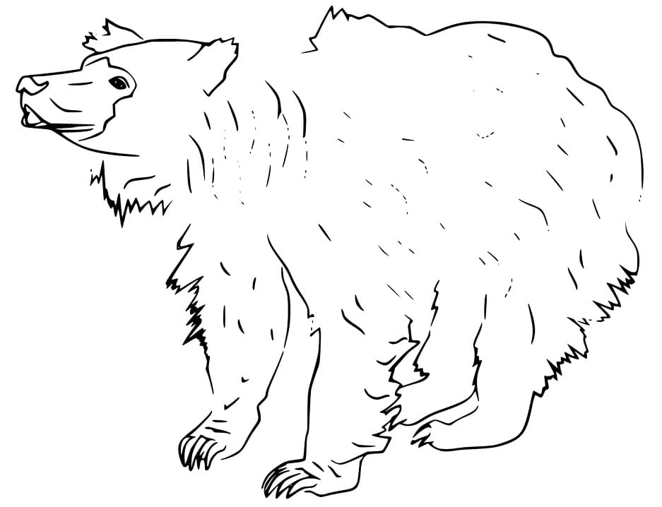 Free Printable Sloth Bear Färbung Seite - Kostenlose druckbare ...