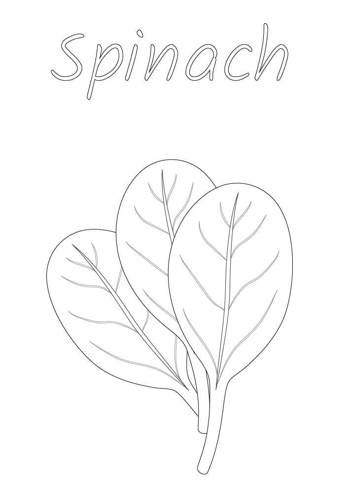 Free Printable Spinach