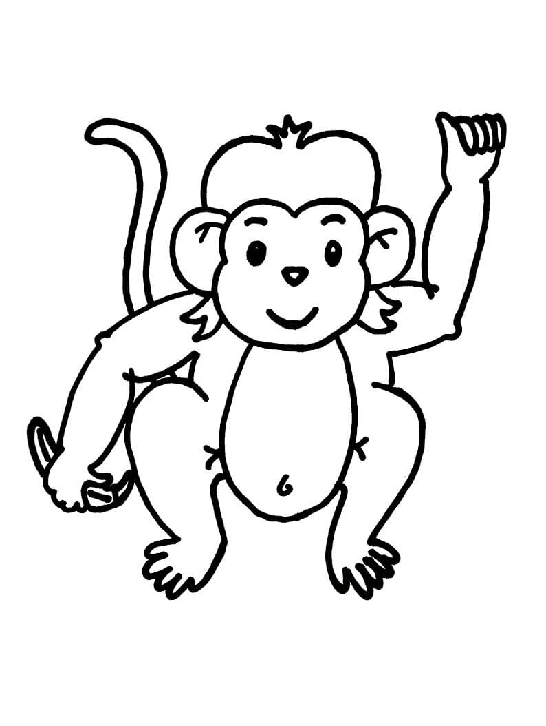 Friendly Monkey