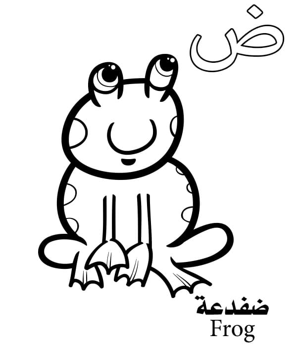Frog Arabic Alphabet