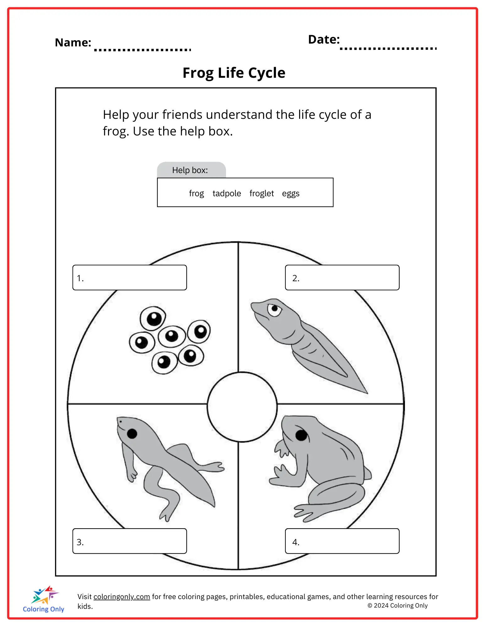 Butterfly Life Cycle And Frog Life Cycle Reading Comprehension With Butterfly Life Cycle And Frog Life Cycle Reading Comprehension With
