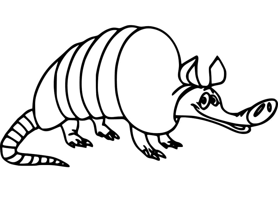Funny Cartoon Armadilo Coloring Page - Free Printable Coloring Pages ...