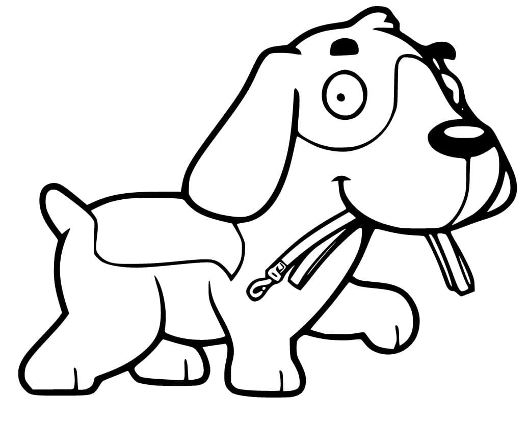 Funny Beagle Puppy