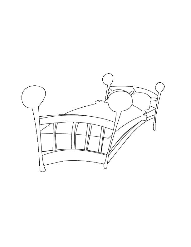 Funny Bed