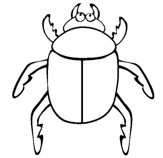 Funny Beetle