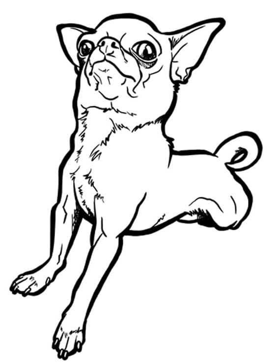 chihuahua-coloring-pages-free-printable-coloring-pages-for-kids