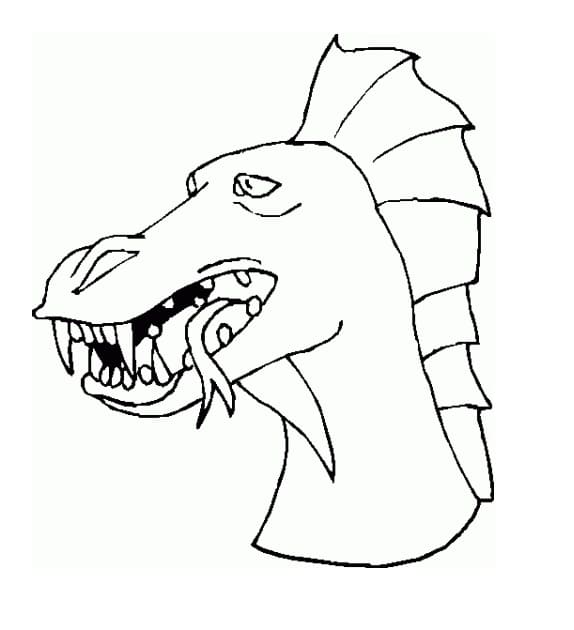 Funny Dragon Head