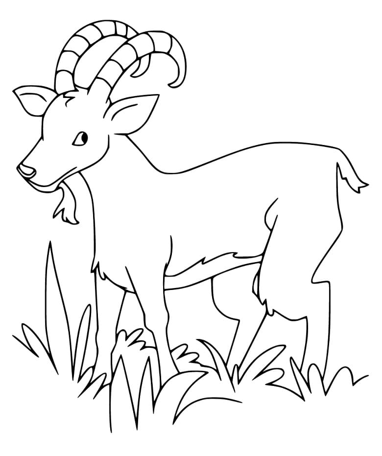 Funny Ibex Coloring Page - Free Printable Coloring Pages for Kids